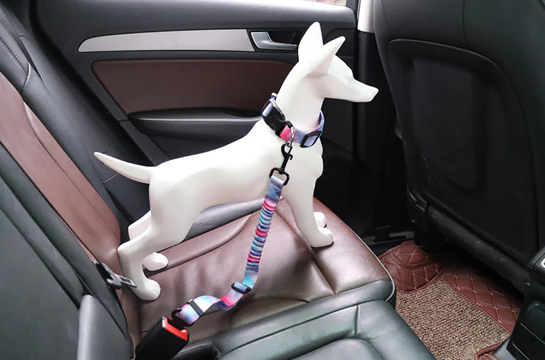 Bianmu Golden Retriever Medium Dog Walking Leash