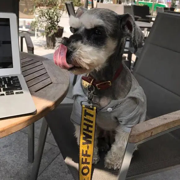 Off-White Pet Harness and Leash for Dogs