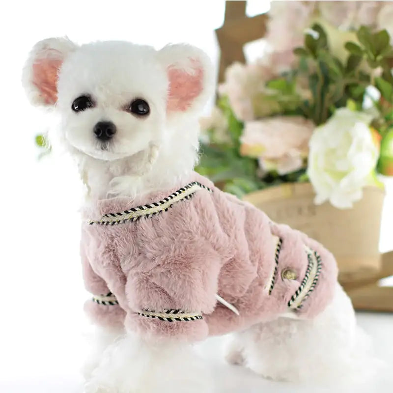 Cotton Clothing for Dogs - Pet Apparel Collection