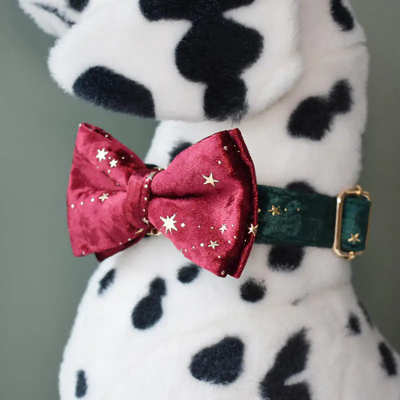 Burgundy Star Flannel Pet Collar with Bow