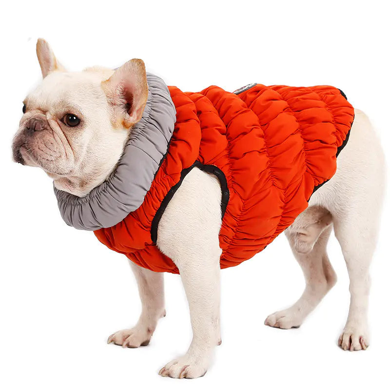 2019 Dog Jacket for Fall and Winter, Warm Pet Outfit