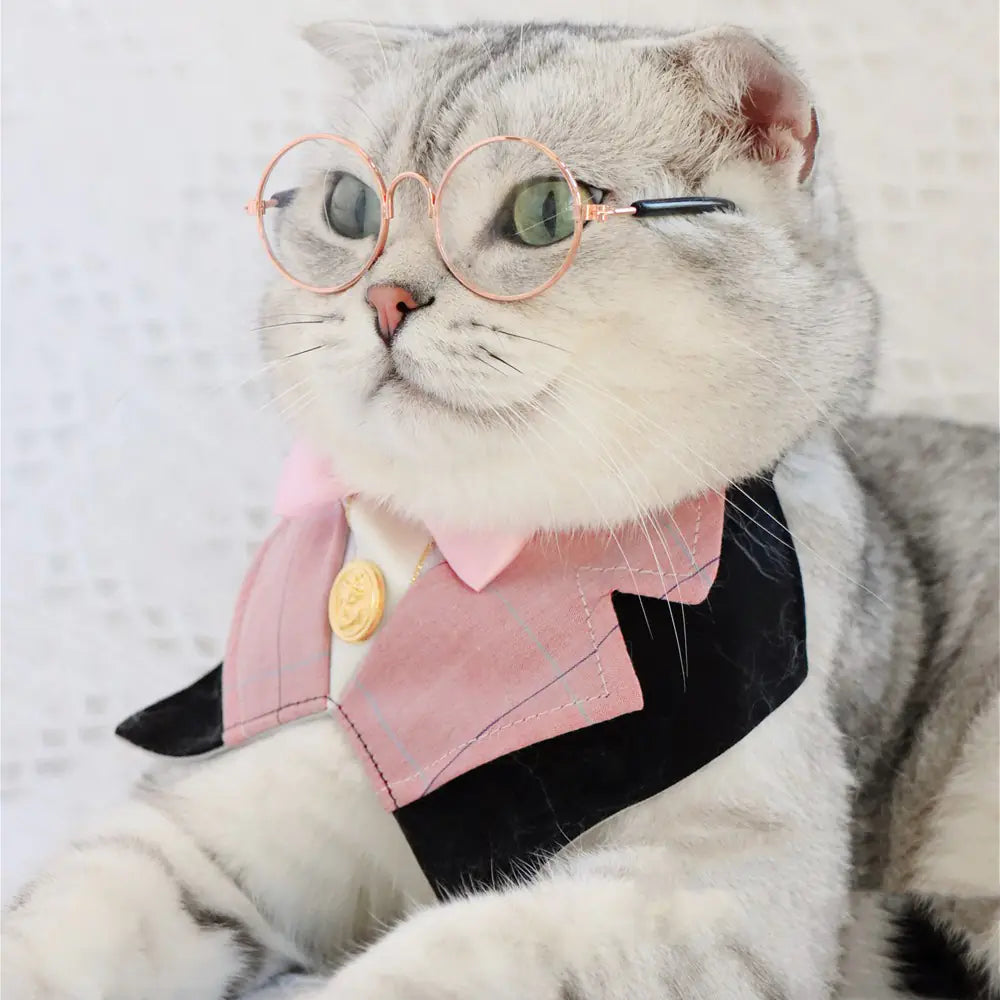 British Academy Style Bib Tie for Pets (Cat & Dog)