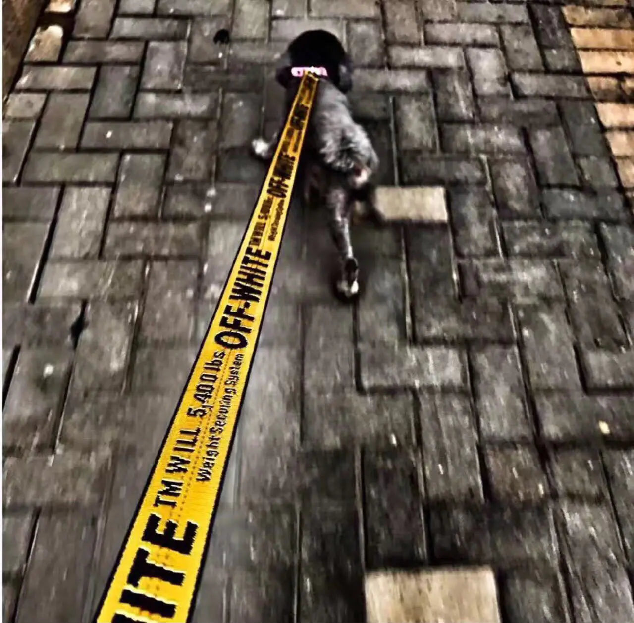 Off-White Pet Harness and Leash for Dogs