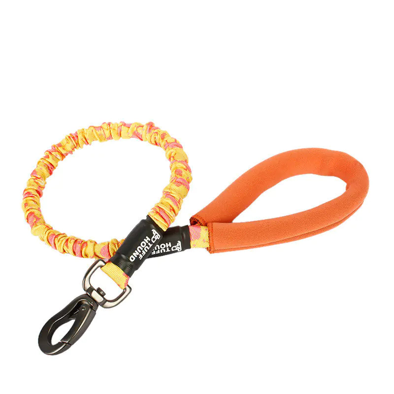 Bianmu Golden Retriever Medium Dog Walking Leash