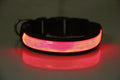 Rechargeable Luminous Pet Collar for Dogs