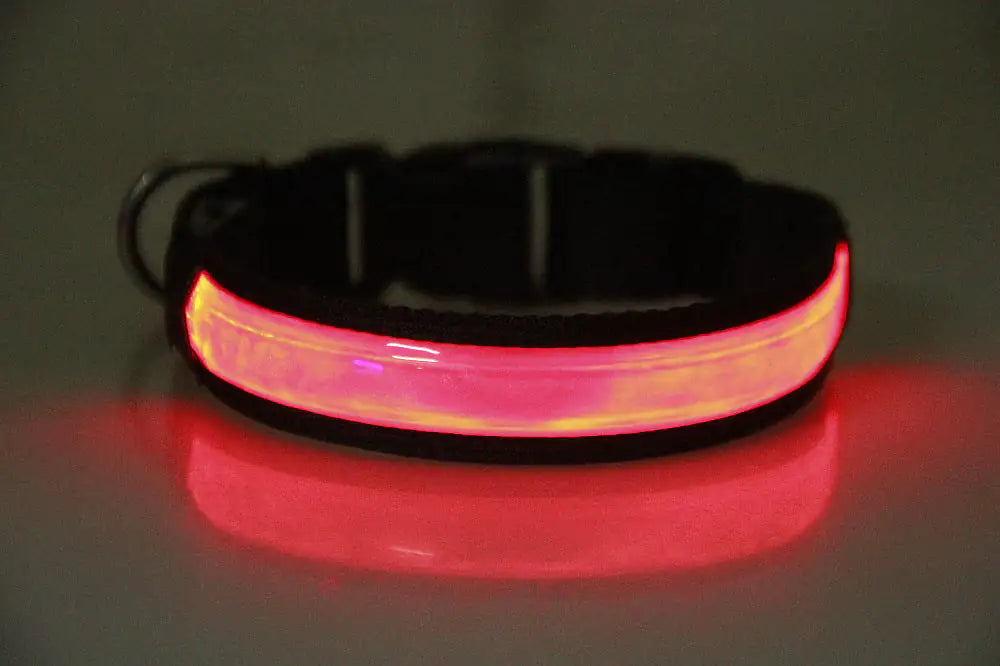 Rechargeable Luminous Pet Collar for Dogs