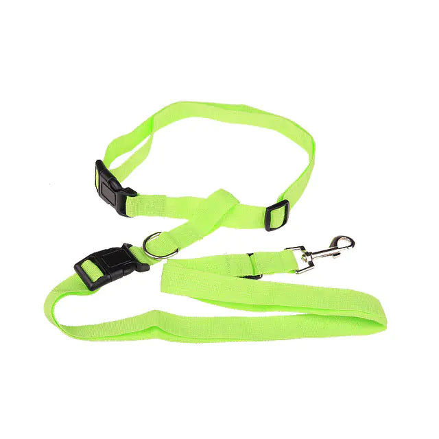Special Traction Rope for Morning Dog Runs