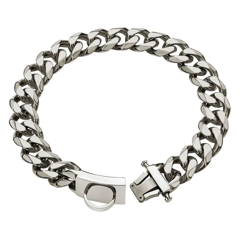 Stainless Steel Anti-Bite Dog Collar and Leash Set