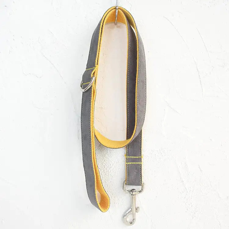 Grey Dog Leash for Comfortable Walking