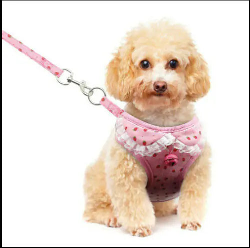 Pet Dog Leash with Harness Vest and Tether Strap