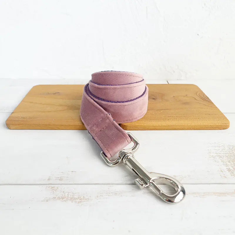 Thick Durable Pet Leash for Dogs and Pets