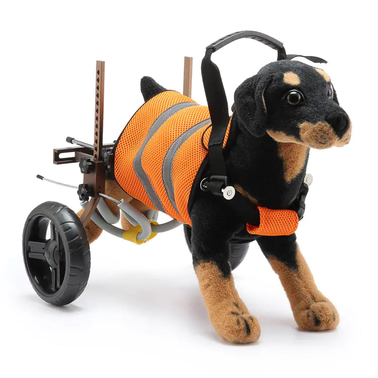 Two-Wheeled Scooter for Disabled Pets and Vehicles