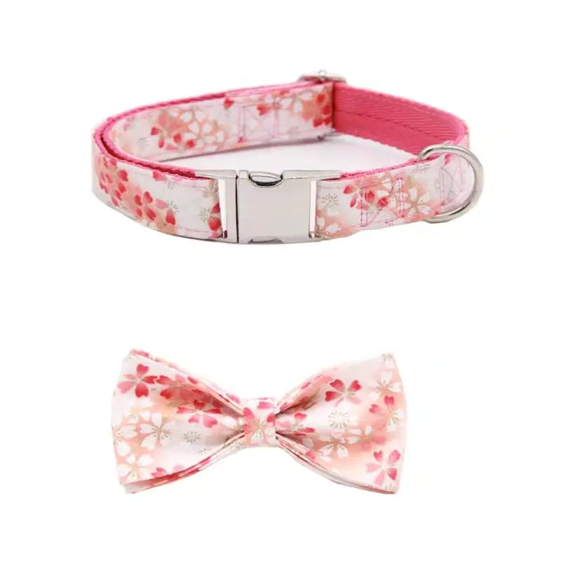 Customizable Pet Collar with Name and Phone Tag