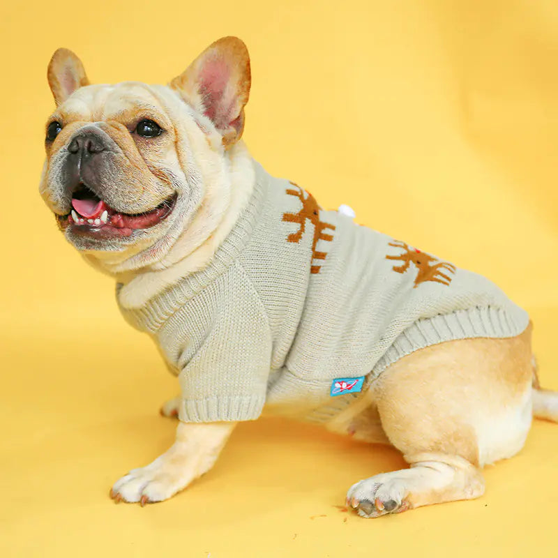 Acrylic Dog Sweater for Cozy Warmth and Style