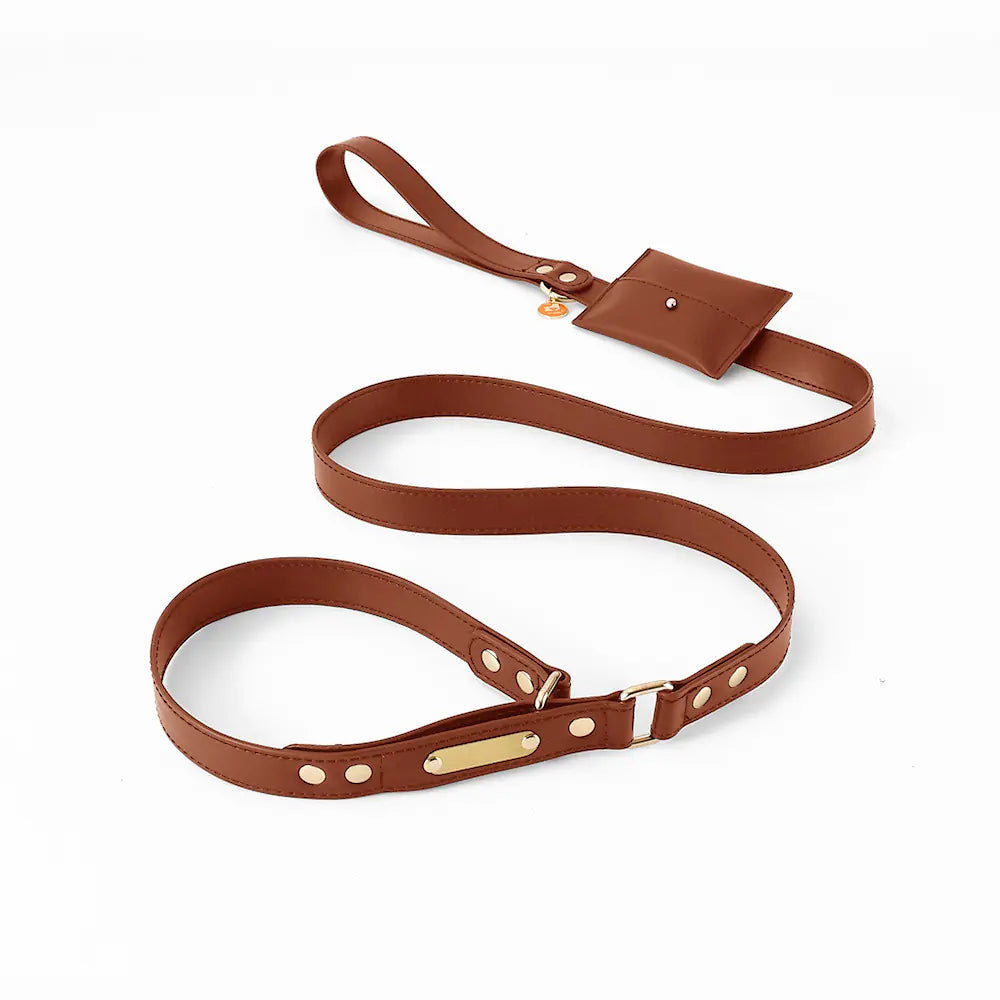 One-Piece Leather Explosion-Proof Dog Leash
