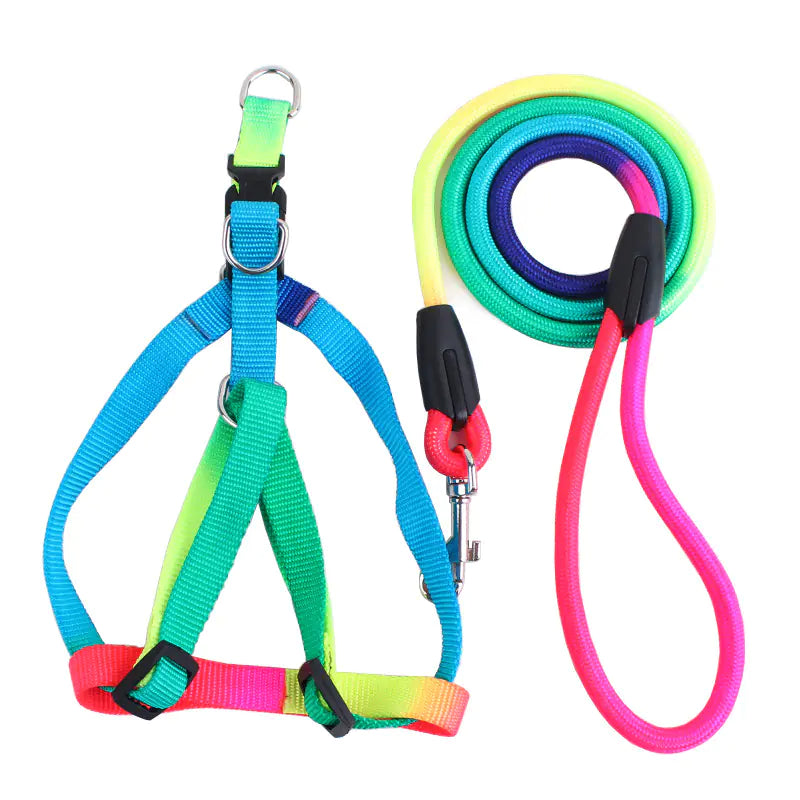Colorful Round Pet Leash with Harness for Dogs