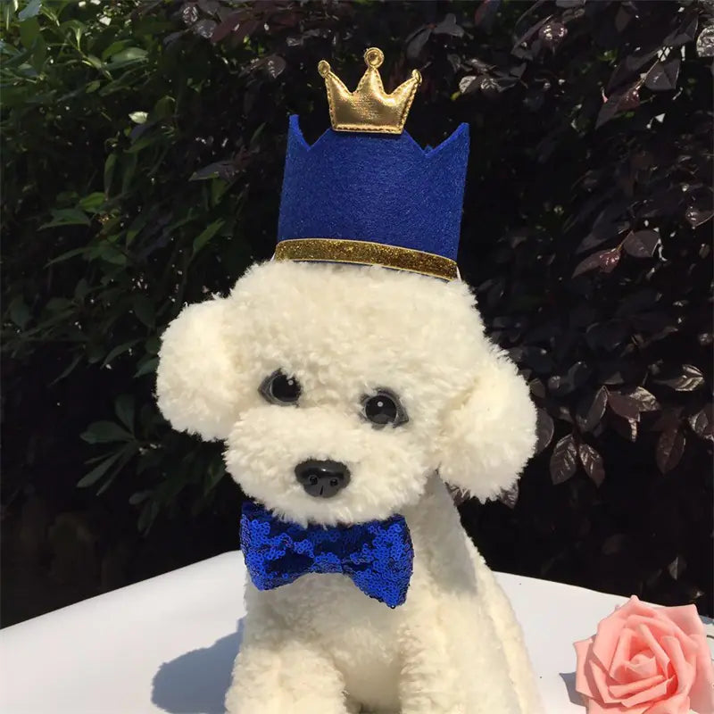 Pet Party Birthday Hat for Dogs and Cats