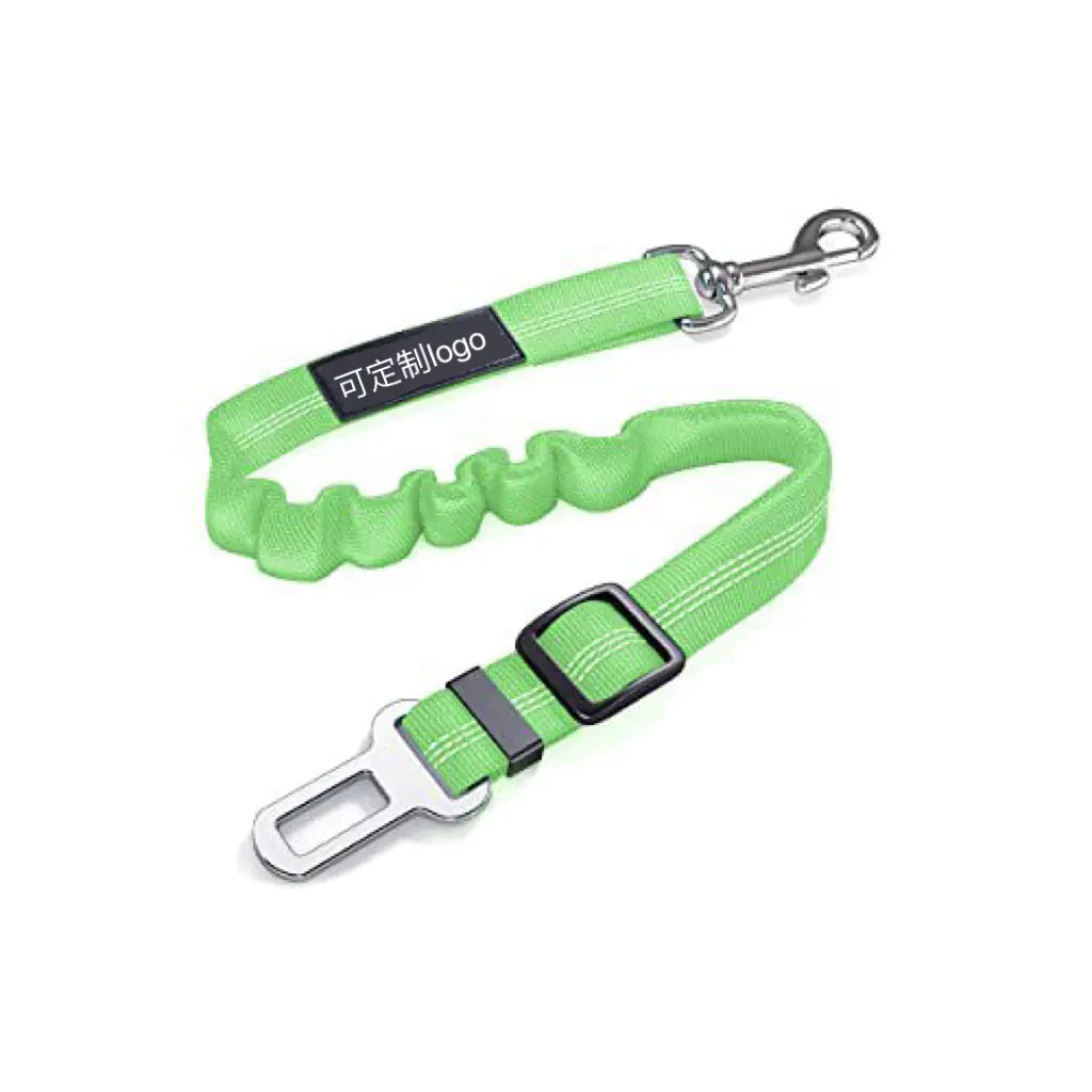 Reflective Automatic Retractable Dog Leash for Small Dogs