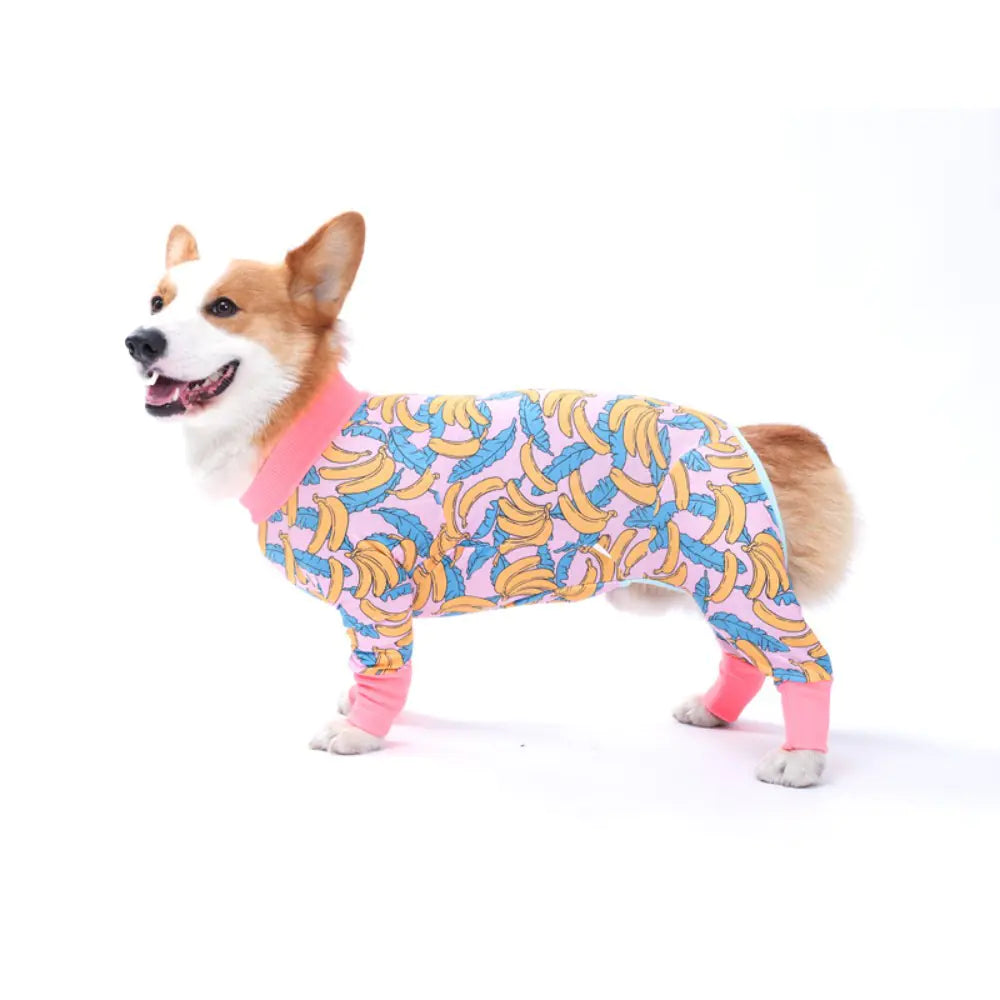 2024 Cute Cartoon Dog Print Bodysuit for Pets
